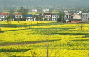 春風又綠江南岸，綠柳才黃半未勻